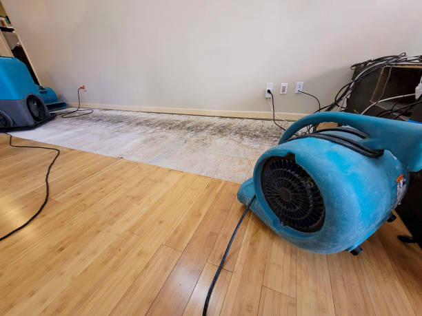 Professional Structural Drying technician working in Gibson, GA